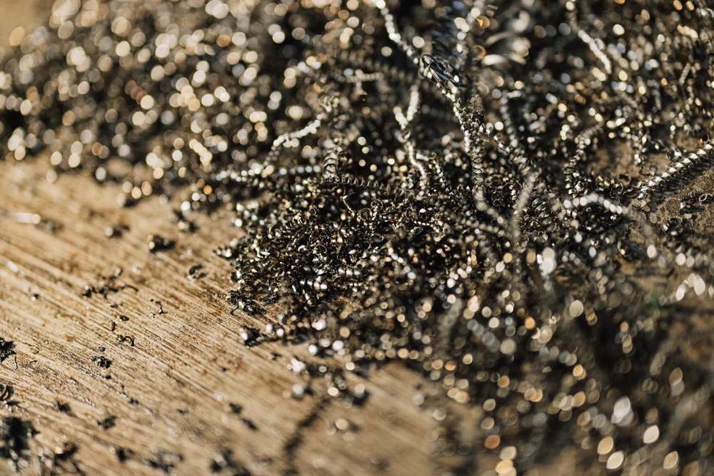Close-up of metal shavings from machining work